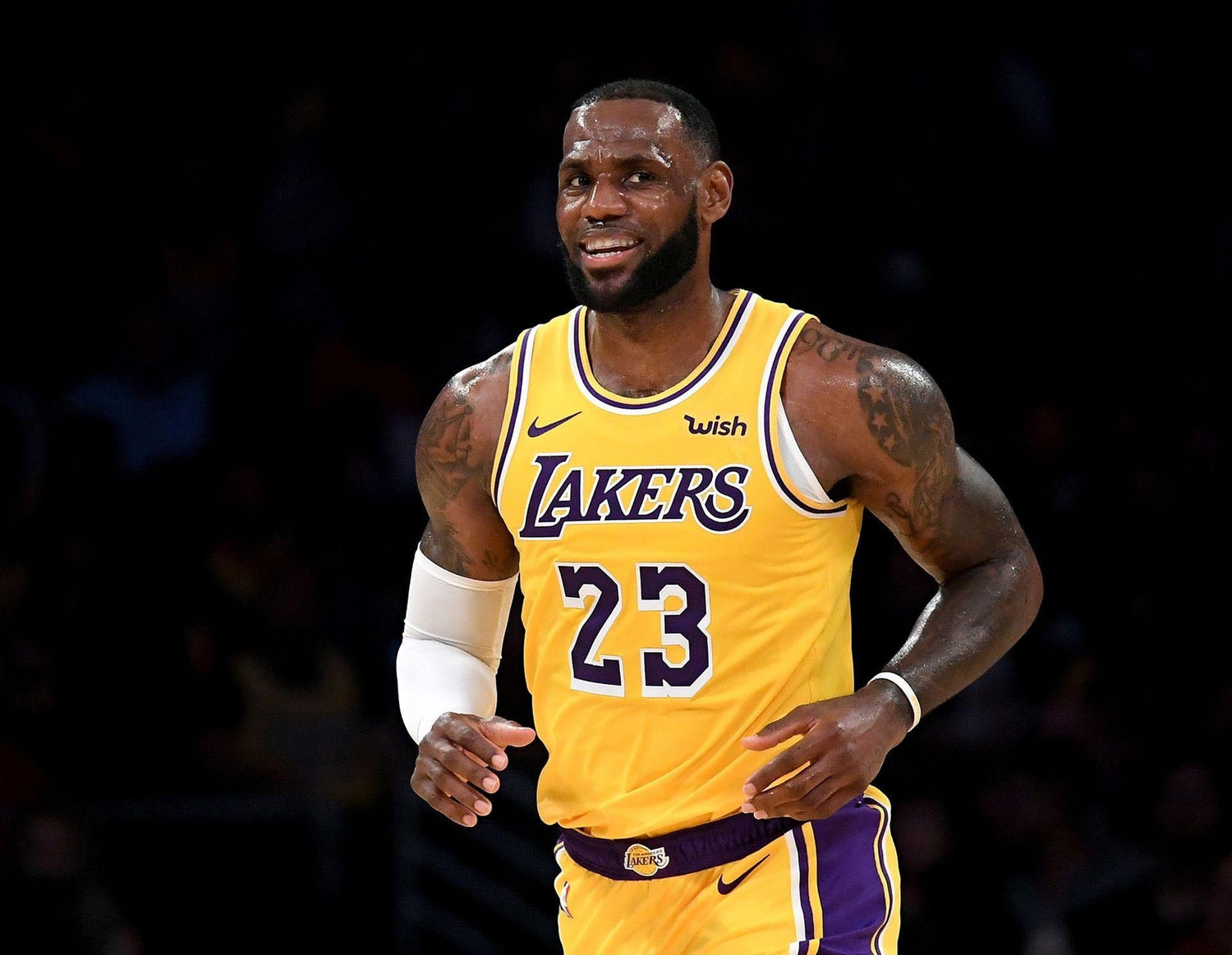LeBron James basketball shoes