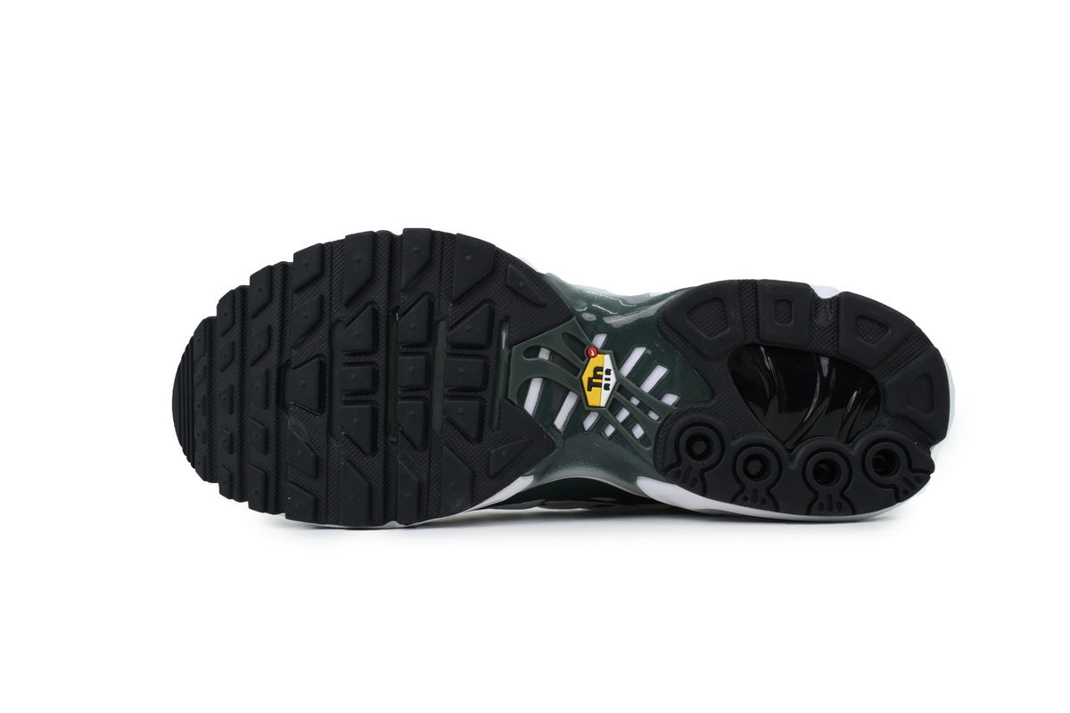 Nike Air Max Plus Sneakers | EU 39–47.5